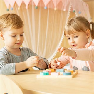 Shape block puzzle - wild animals